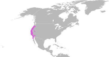 Emys marmorata distribution