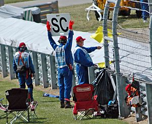F1 yellow flag and SC sign