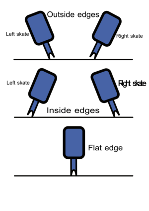 Figure skating edges