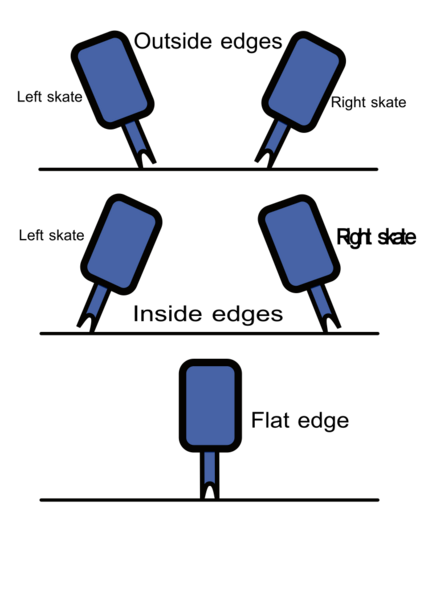 Figure skating edges