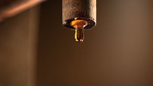 Fish sauce