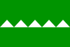Flag of Salinas