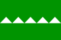 Flag of Salinas, Puerto Rico