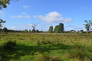Flitwick Moor 13