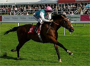 Frankel (horse)