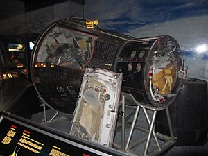 Gemini X Capsule