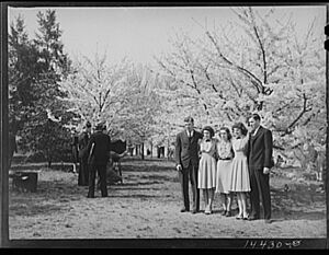 Getting their picture taken. Cherry Blossom Festival 8b15095v