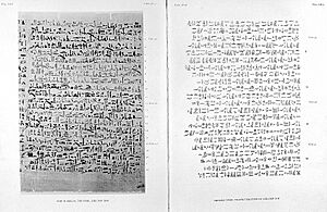 Images from Edwin Smith Papyrus Wellcome L0003140