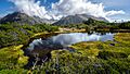 Key Summit Routeburn Track New Zealand (165426859)