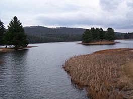 Lake Sherwood (West Virginia).jpg