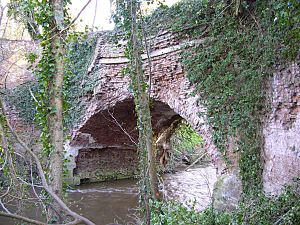 Leominster Stourport Canal Aqueduct 2008