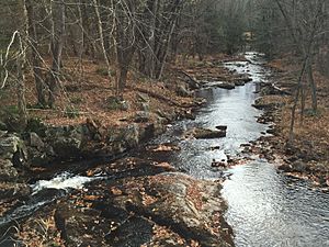 Little Cold River NH