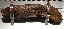 Lloydsbankcoprolite 001.jpg