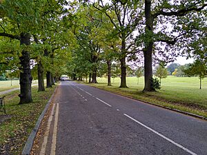 Loughton Lane, Theydon Bois