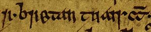 Máel Coluim mac Domnaill (Oxford Bodleian Library MS Rawlinson B 488, folio 15v) 2