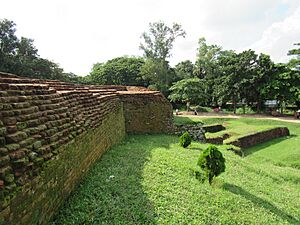 Mahasthangarh, Bogra, September 2016 06