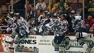 Military appreciation night South Carolina Stingrays
