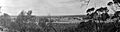 Mingenew 1920s panorama