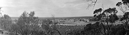 Mingenew 1920s panorama
