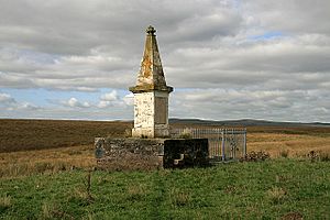 Monument and martyr's grave on Airds Moss - geograph.org.uk - 982520