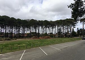 Morris Buzacott Reserve southern oval, September 2021 11