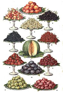 Mrs. Beeton's Book of Household Management (32)