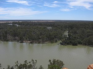 Murray River, overlooking Chowilla floodplain from Headings Cliffs, South Australia