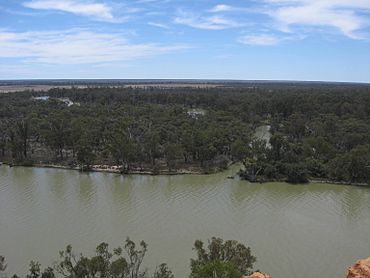 Murray River, overlooking Chowilla floodplain from Headings Cliffs, South Australia.JPG