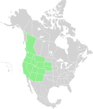 North America Range Libellula forensis.svg