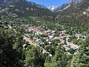 Ouray CO