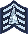 PM Badge.jpg