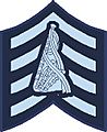 PM Badge
