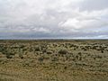 Patagonian plains argentina