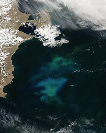 Phytoplankton bloom off Argentina - November 9, 2013