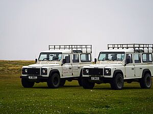 Ranger's Land Rovers at Bluff Cove
