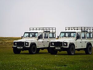 Ranger's Land Rovers at Bluff Cove