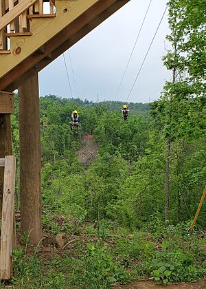 RedTail Racers Zipline 4