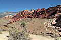 Red Rocks Nevada SW01