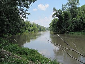 Reverie TN 08 former MS river S