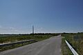 RumneyMarsh01