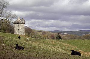 Rusco Castle - geograph.org.uk - 1240081.jpg