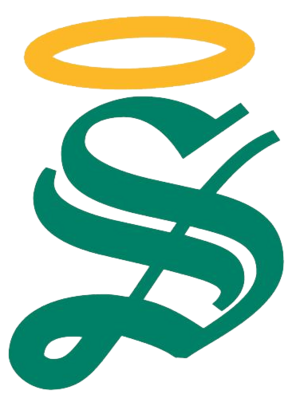 SantosLagunaLogo2008
