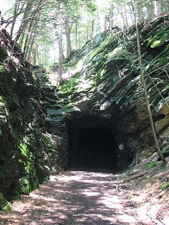 Shepaug tunnel south portal 026.JPG