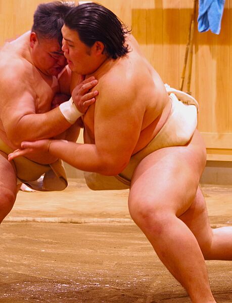 Shiromawashi oonosato