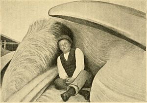 Sigurd Risting in a gap of a fin whale 1912