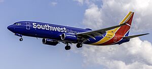 Southwest Boeing 737-800 N8696E BWI MD2.jpg