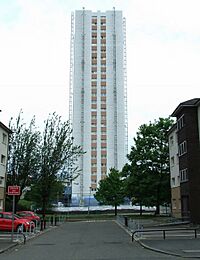 St Mungo Avenue - geograph.org.uk - 3009274.jpg