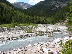 Swiss National Park 188