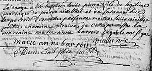 Taufe Vieillot