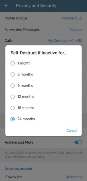 Telegram-account-self-destruction